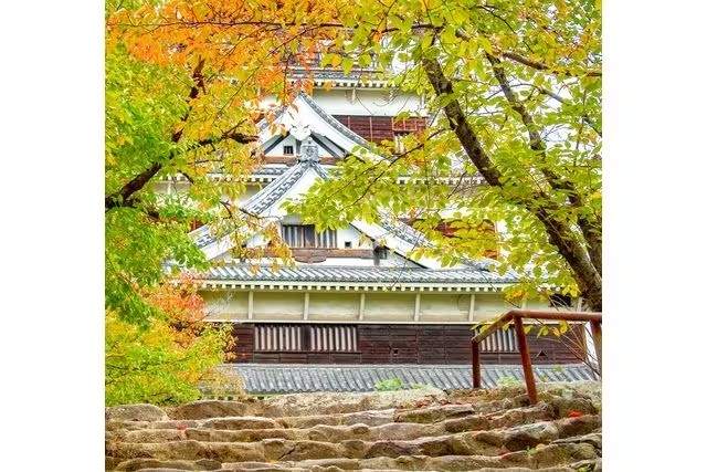 ●広島の勲章/徽章＊長晟廣嶋城入城三百年記念章（実物） 広島の勲章/徽章＊長晟廣嶋城入城三百年記念章（